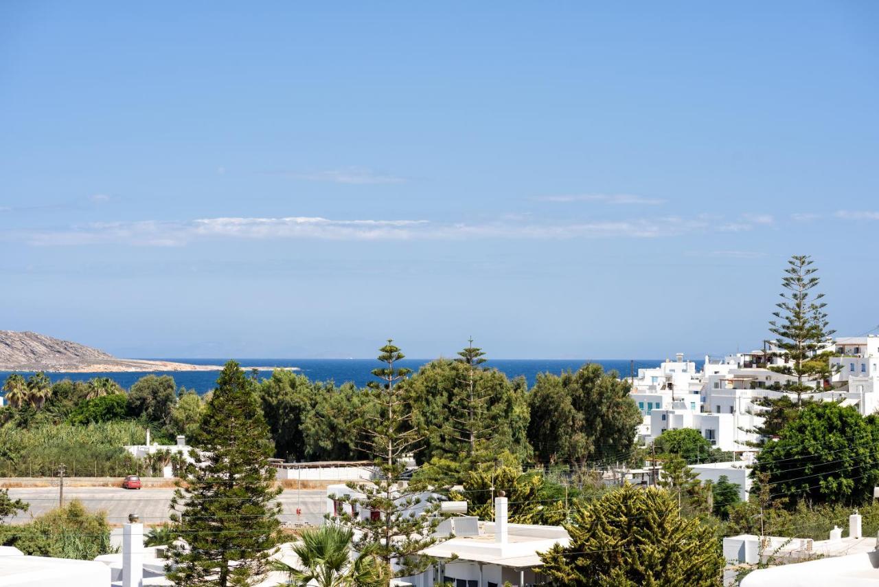 Hara'S Villa In Naousa , Paros Luaran gambar