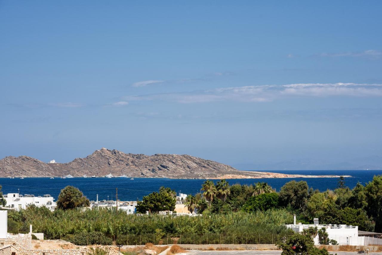 Hara'S Villa In Naousa , Paros Luaran gambar